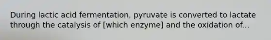 During lactic acid fermentation, pyruvate is converted to lactate through the catalysis of [which enzyme] and the oxidation of...