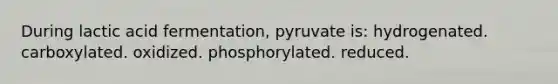 During lactic acid fermentation, pyruvate is: hydrogenated. carboxylated. oxidized. phosphorylated. reduced.