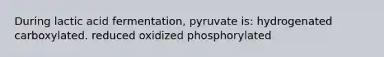 During lactic acid fermentation, pyruvate is: hydrogenated carboxylated. reduced oxidized phosphorylated