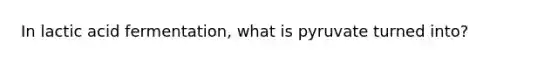 In lactic acid fermentation, what is pyruvate turned into?