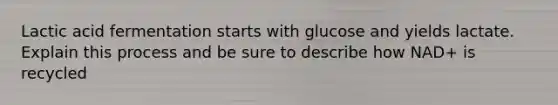 Lactic acid fermentation starts with glucose and yields lactate. Explain this process and be sure to describe how NAD+ is recycled