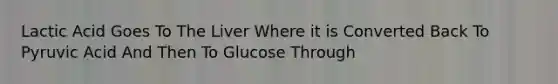 Lactic Acid Goes To The Liver Where it is Converted Back To Pyruvic Acid And Then To Glucose Through