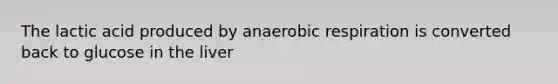 The lactic acid produced by anaerobic respiration is converted back to glucose in the liver