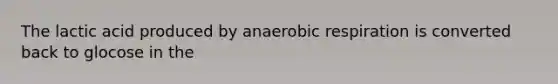 The lactic acid produced by anaerobic respiration is converted back to glocose in the