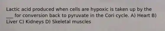 Lactic acid produced when cells are hypoxic is taken up by the ___ for conversion back to pyruvate in the Cori cycle. A) Heart B) Liver C) Kidneys D) Skeletal muscles