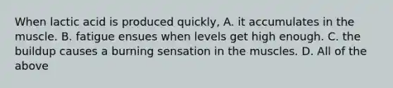 When lactic acid is produced quickly, A. it accumulates in the muscle. B. fatigue ensues when levels get high enough. C. the buildup causes a burning sensation in the muscles. D. All of the above