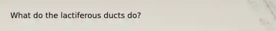 What do the lactiferous ducts do?