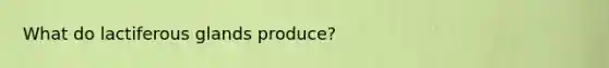 What do lactiferous glands produce?