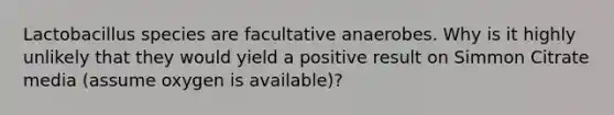 Lactobacillus species are facultative anaerobes. Why is it highly unlikely that they would yield a positive result on Simmon Citrate media (assume oxygen is available)?