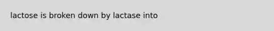 lactose is broken down by lactase into