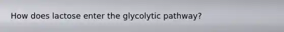 How does lactose enter the glycolytic pathway?