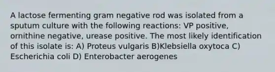 A lactose fermenting gram negative rod was isolated from a sputum culture with the following reactions: VP positive, ornithine negative, urease positive. The most likely identification of this isolate is: A) Proteus vulgaris B)Klebsiella oxytoca C) Escherichia coli D) Enterobacter aerogenes