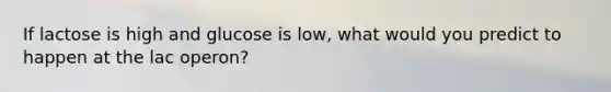 If lactose is high and glucose is low, what would you predict to happen at the lac operon?