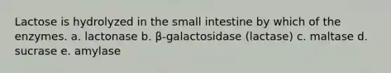 Lactose is hydrolyzed in <a href='https://www.questionai.com/knowledge/kt623fh5xn-the-small-intestine' class='anchor-knowledge'>the small intestine</a> by which of the enzymes. a. lactonase b. β-galactosidase (lactase) c. maltase d. sucrase e. amylase