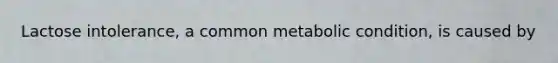 Lactose intolerance, a common metabolic condition, is caused by