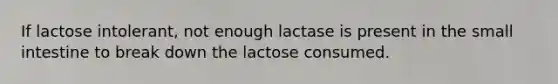 If lactose intolerant, not enough lactase is present in the small intestine to break down the lactose consumed.