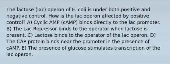 The lactose (lac) operon of E. coli is under both positive and negative control. How is the lac operon affected by positive control? A) Cyclic AMP (cAMP) binds directly to the lac promoter. B) The Lac Repressor binds to the operator when lactose is present. C) Lactose binds to the operator of the lac operon. D) The CAP protein binds near the promoter in the presence of cAMP. E) The presence of glucose stimulates transcription of the lac operon.