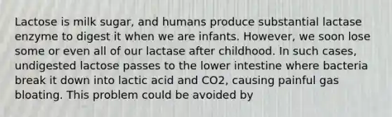 Lactose is milk sugar, and humans produce substantial lactase enzyme to digest it when we are infants. However, we soon lose some or even all of our lactase after childhood. In such cases, undigested lactose passes to the lower intestine where bacteria break it down into lactic acid and CO2, causing painful gas bloating. This problem could be avoided by