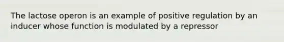 The lactose operon is an example of positive regulation by an inducer whose function is modulated by a repressor