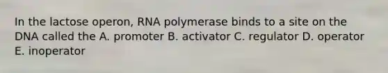 In the lactose operon, RNA polymerase binds to a site on the DNA called the A. promoter B. activator C. regulator D. operator E. inoperator