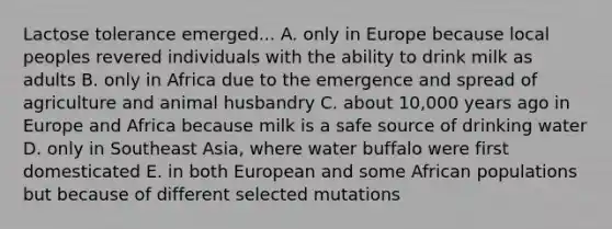 Lactose tolerance emerged... A. only in Europe because local peoples revered individuals with the ability to drink milk as adults B. only in Africa due to the emergence and spread of agriculture and animal husbandry C. about 10,000 years ago in Europe and Africa because milk is a safe source of drinking water D. only in Southeast Asia, where water buffalo were first domesticated E. in both European and some African populations but because of different selected mutations