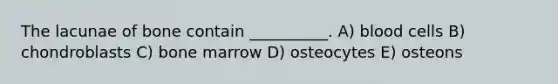 The lacunae of bone contain __________. A) blood cells B) chondroblasts C) bone marrow D) osteocytes E) osteons