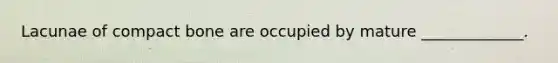 Lacunae of compact bone are occupied by mature _____________.