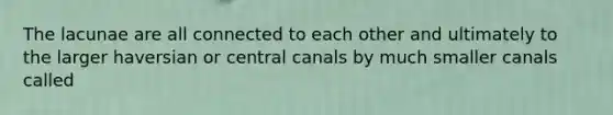 The lacunae are all connected to each other and ultimately to the larger haversian or central canals by much smaller canals called