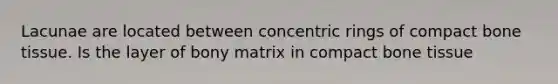 Lacunae are located between concentric rings of compact bone tissue. Is the layer of bony matrix in compact bone tissue