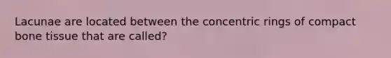 Lacunae are located between the concentric rings of compact bone tissue that are called?