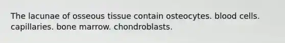 The lacunae of osseous tissue contain osteocytes. blood cells. capillaries. bone marrow. chondroblasts.