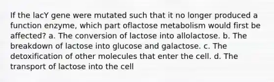 If the lacY gene were mutated such that it no longer produced a function enzyme, which part oflactose metabolism would first be affected? a. The conversion of lactose into allolactose. b. The breakdown of lactose into glucose and galactose. c. The detoxification of other molecules that enter the cell. d. The transport of lactose into the cell