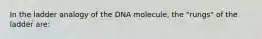 In the ladder analogy of the DNA molecule, the "rungs" of the ladder are: