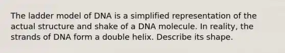 The ladder model of DNA is a simplified representation of the actual structure and shake of a DNA molecule. In reality, the strands of DNA form a double helix. Describe its shape.