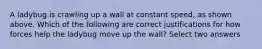 A ladybug is crawling up a wall at constant speed, as shown above. Which of the following are correct justifications for how forces help the ladybug move up the wall? Select two answers