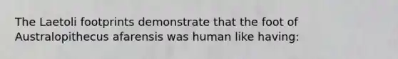 The Laetoli footprints demonstrate that the foot of Australopithecus afarensis was human like having: