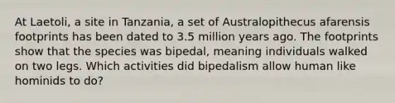 At Laetoli, a site in Tanzania, a set of Australopithecus afarensis footprints has been dated to 3.5 million years ago. The footprints show that the species was bipedal, meaning individuals walked on two legs. Which activities did bipedalism allow human like hominids to do?