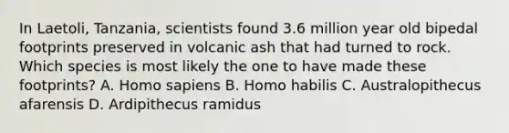 In Laetoli, Tanzania, scientists found 3.6 million year old bipedal footprints preserved in volcanic ash that had turned to rock. Which species is most likely the one to have made these footprints? A. Homo sapiens B. Homo habilis C. Australopithecus afarensis D. Ardipithecus ramidus