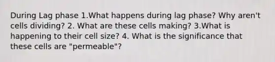 During Lag phase 1.What happens during lag phase? Why aren't cells dividing? 2. What are these cells making? 3.What is happening to their cell size? 4. What is the significance that these cells are "permeable"?