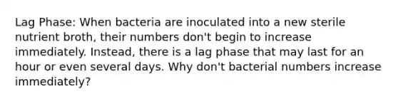 Lag Phase: When bacteria are inoculated into a new sterile nutrient broth, their numbers don't begin to increase immediately. Instead, there is a lag phase that may last for an hour or even several days. Why don't bacterial numbers increase immediately?