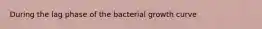 During the lag phase of the bacterial growth curve