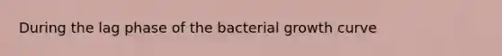 During the lag phase of the bacterial growth curve