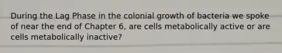 During the Lag Phase in the colonial growth of bacteria we spoke of near the end of Chapter 6, are cells metabolically active or are cells metabolically inactive?