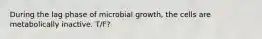 During the lag phase of microbial growth, the cells are metabolically inactive. T/F?