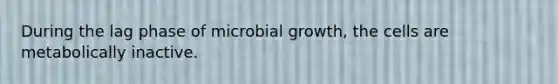 During the lag phase of microbial growth, the cells are metabolically inactive.