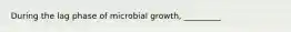 During the lag phase of microbial growth, _________