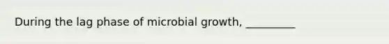 During the lag phase of microbial growth, _________