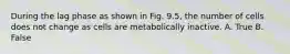 During the lag phase as shown in Fig. 9.5, the number of cells does not change as cells are metabolically inactive. A. True B. False