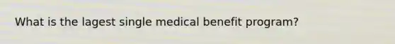 What is the lagest single medical benefit program?