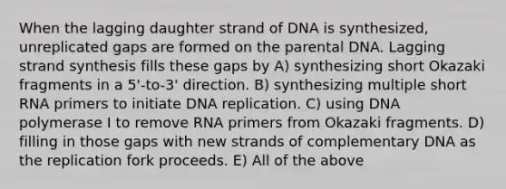 When the lagging daughter strand of DNA is synthesized, unreplicated gaps are formed on the parental DNA. Lagging strand synthesis fills these gaps by A) synthesizing short Okazaki fragments in a 5'-to-3' direction. B) synthesizing multiple short RNA primers to initiate <a href='https://www.questionai.com/knowledge/kofV2VQU2J-dna-replication' class='anchor-knowledge'>dna replication</a>. C) using DNA polymerase I to remove RNA primers from Okazaki fragments. D) filling in those gaps with new strands of complementary DNA as the replication fork proceeds. E) All of the above